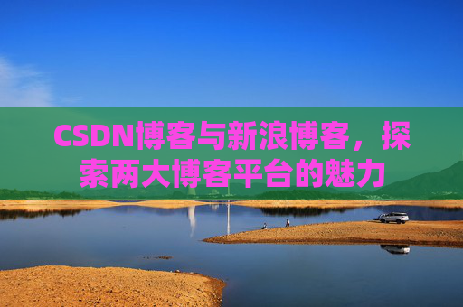 CSDN博客与新浪博客，探索两大博客平台的魅力